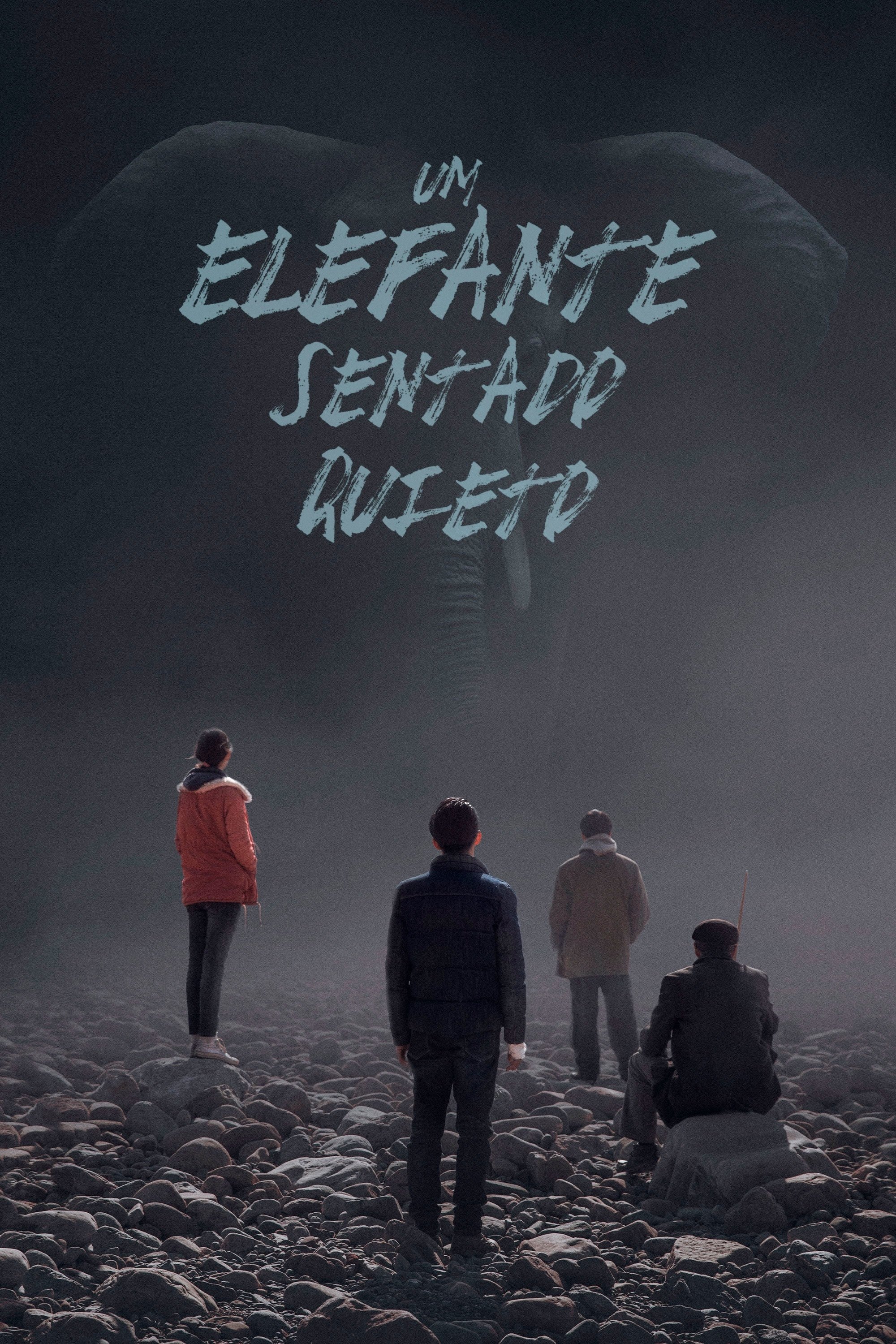 Poster de Um Elefante Sentado Quieto