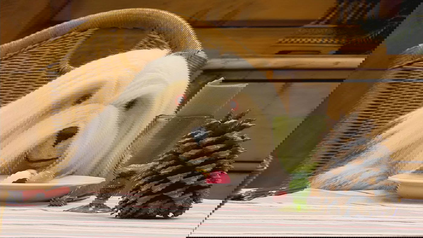 still img