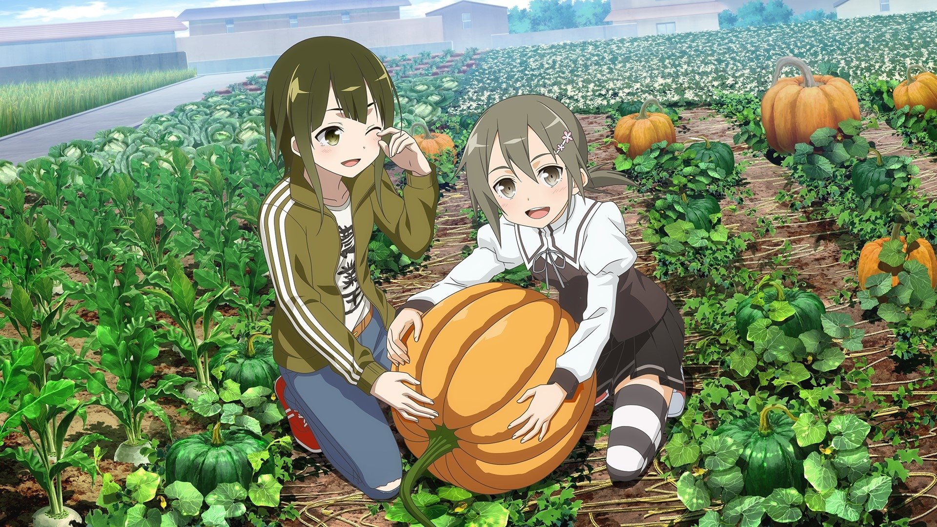Backdrop image