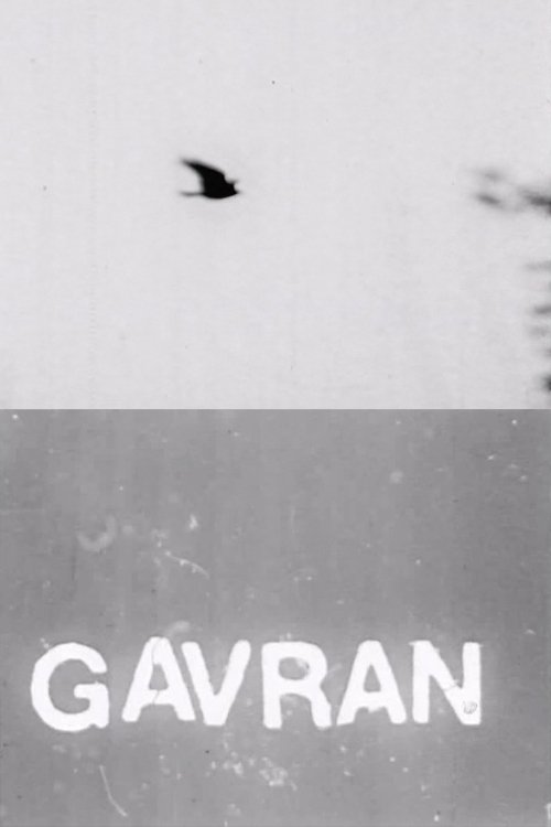 Poster de Gavran