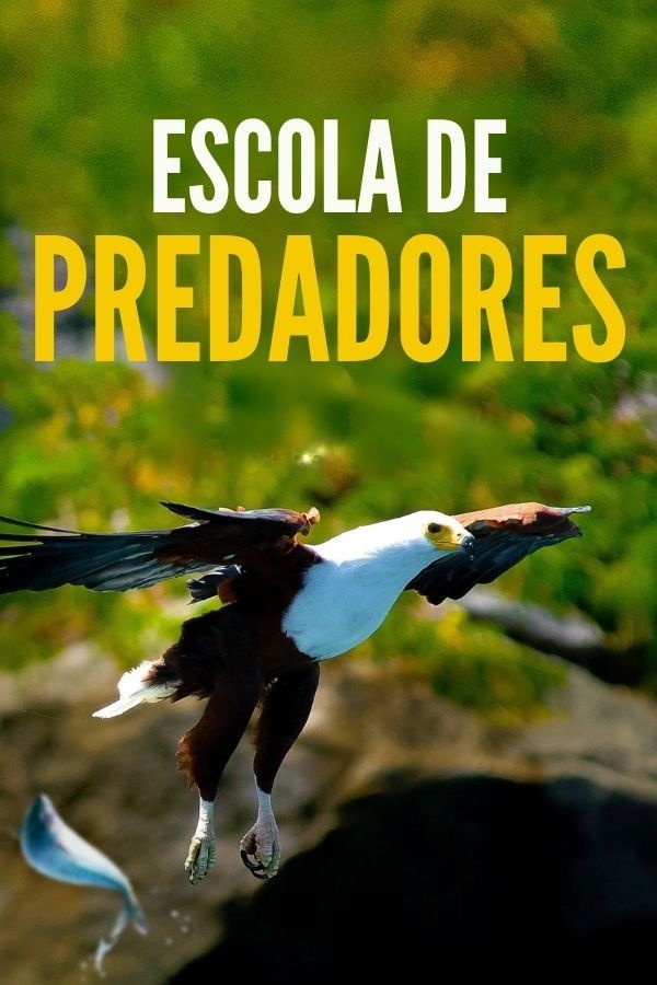 Poster de Escola de Predadores