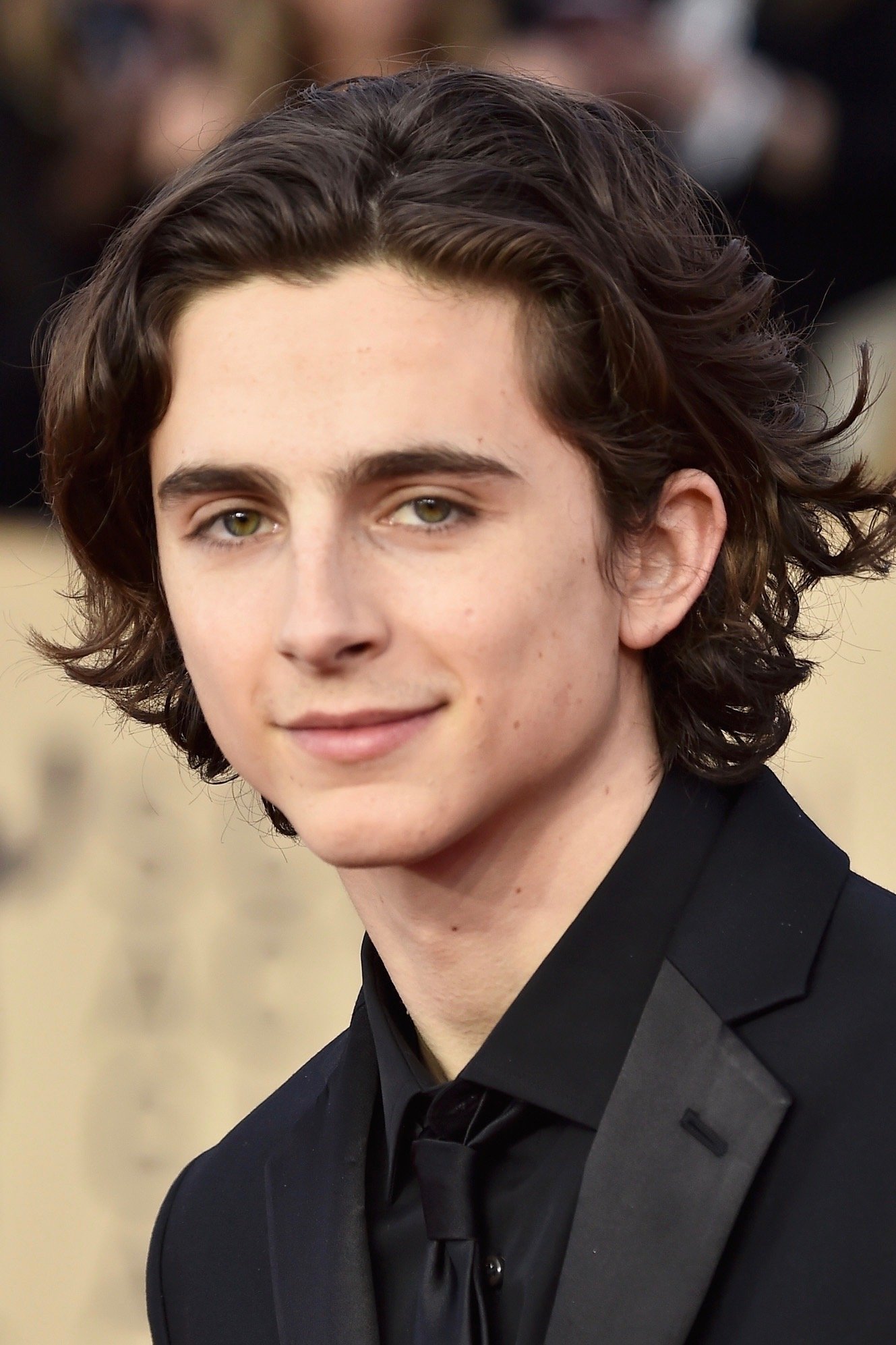 Foto de Timothée Chalamet