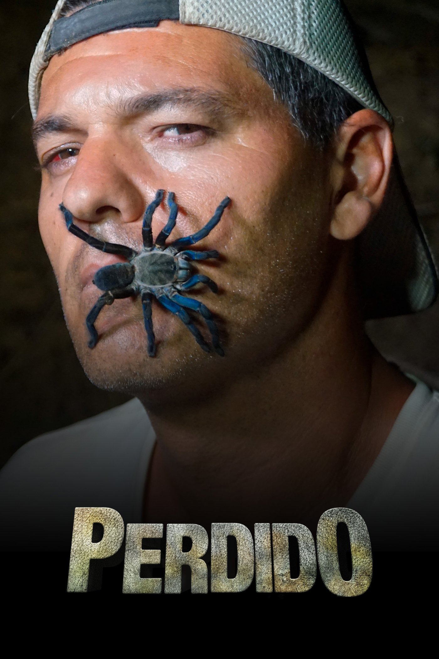 Poster de Perdido