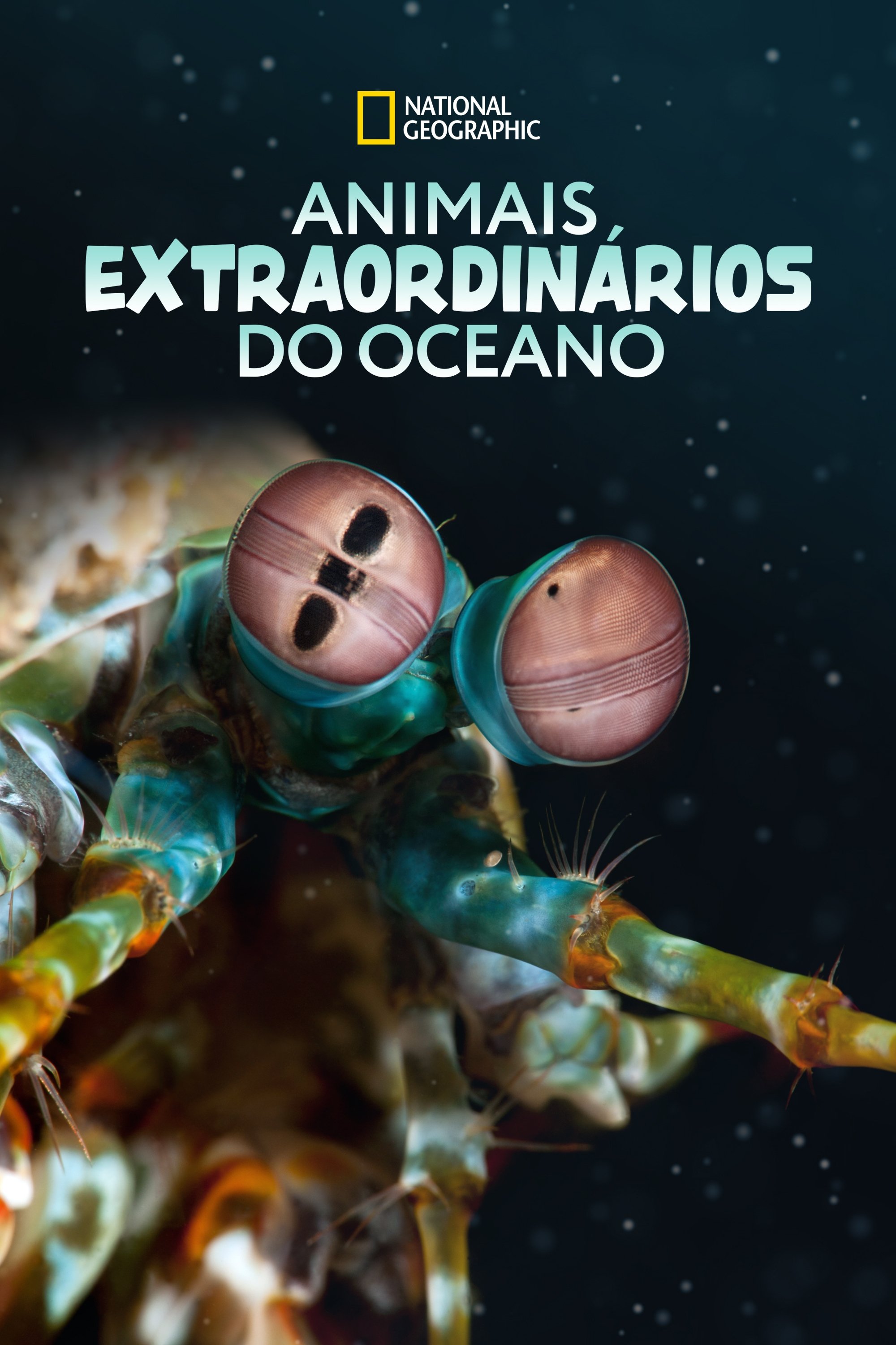 Poster de Animais Extraordinários do Oceano