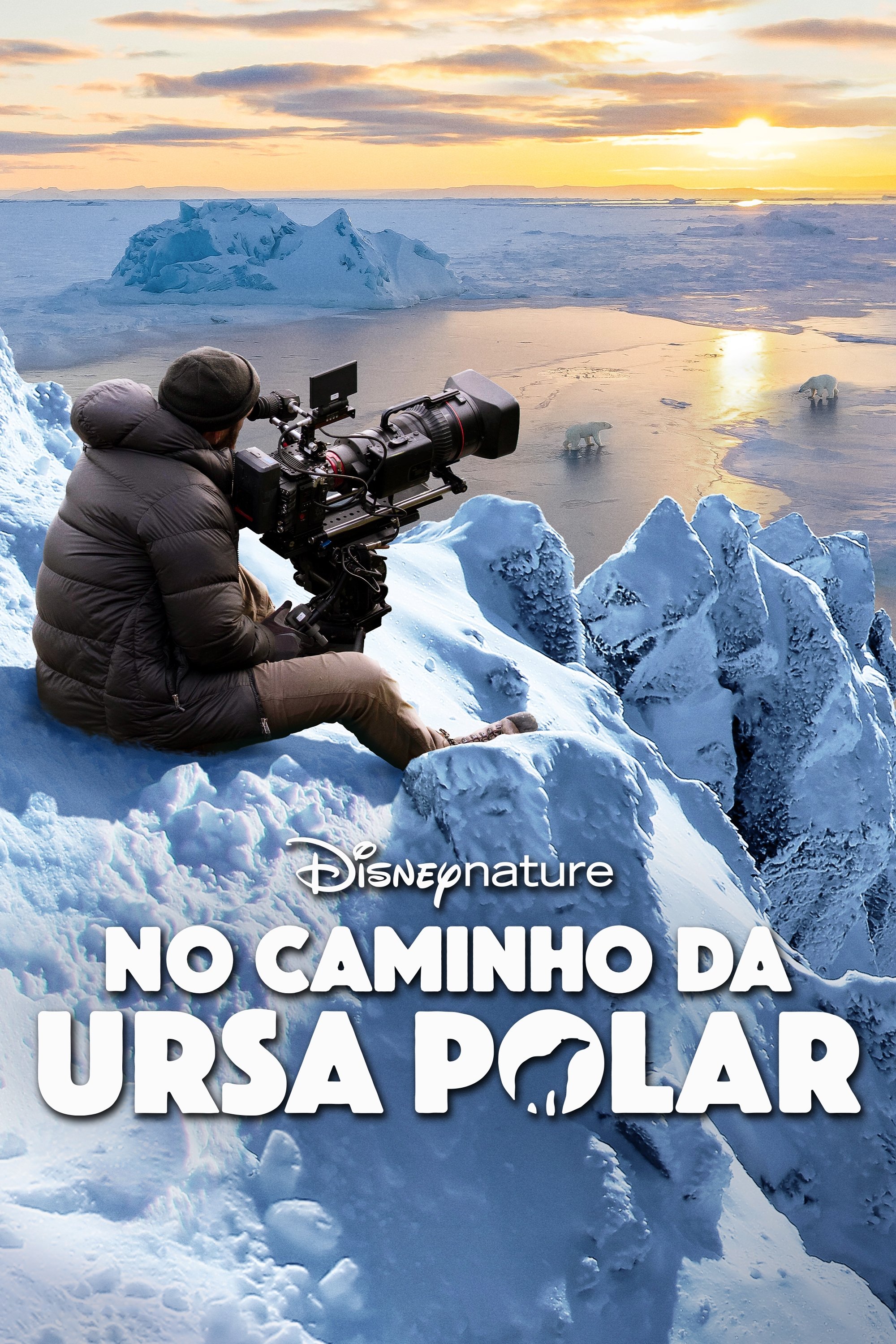 Poster de No Caminho da Ursa Polar