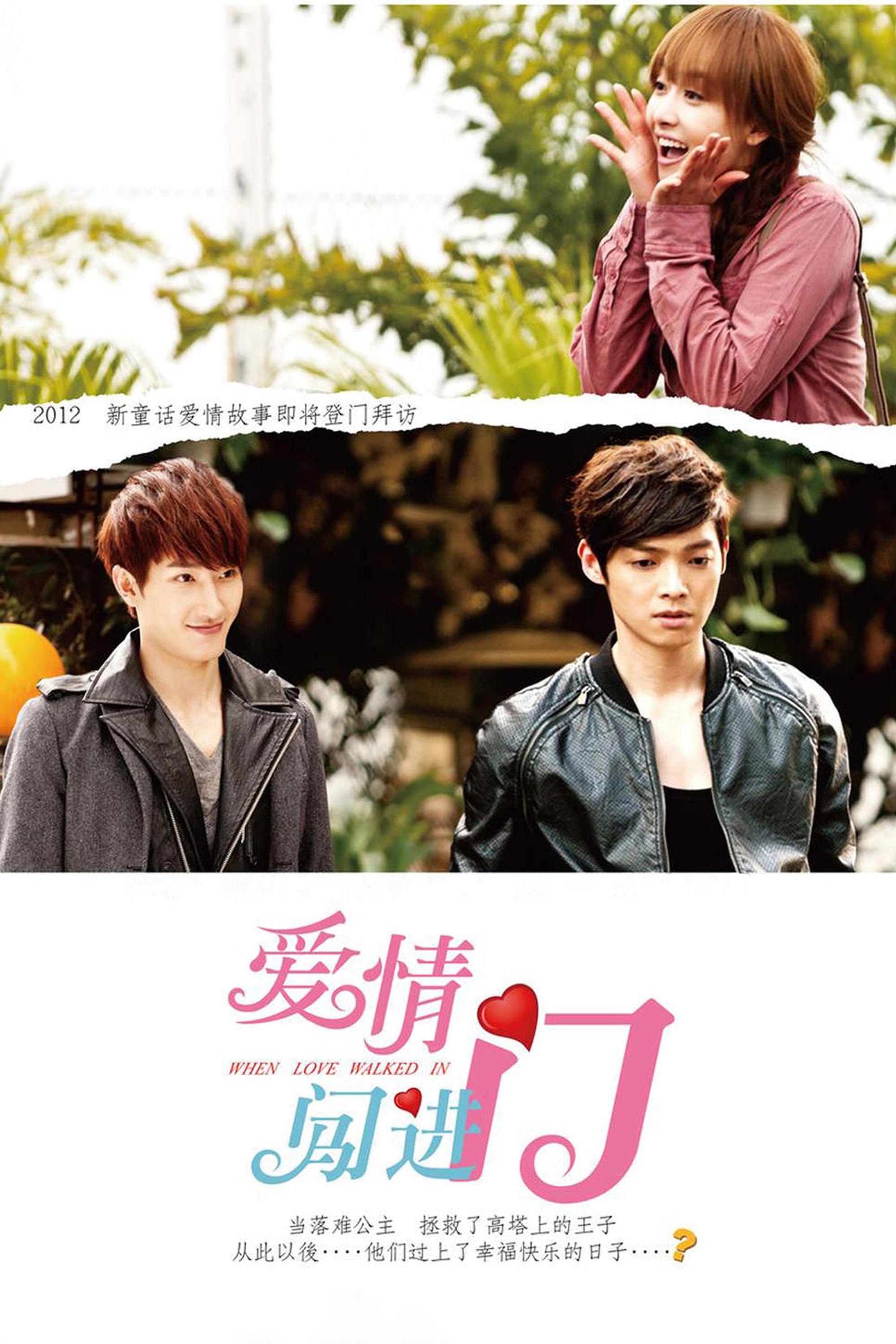 Poster de 爱情闯进门