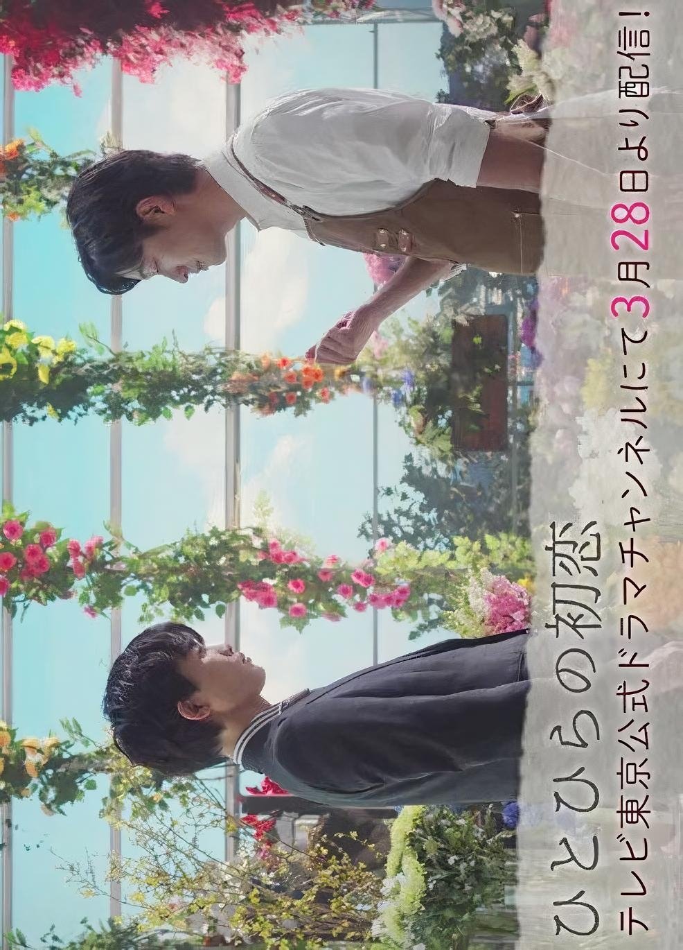 Poster de ひとひらの初恋