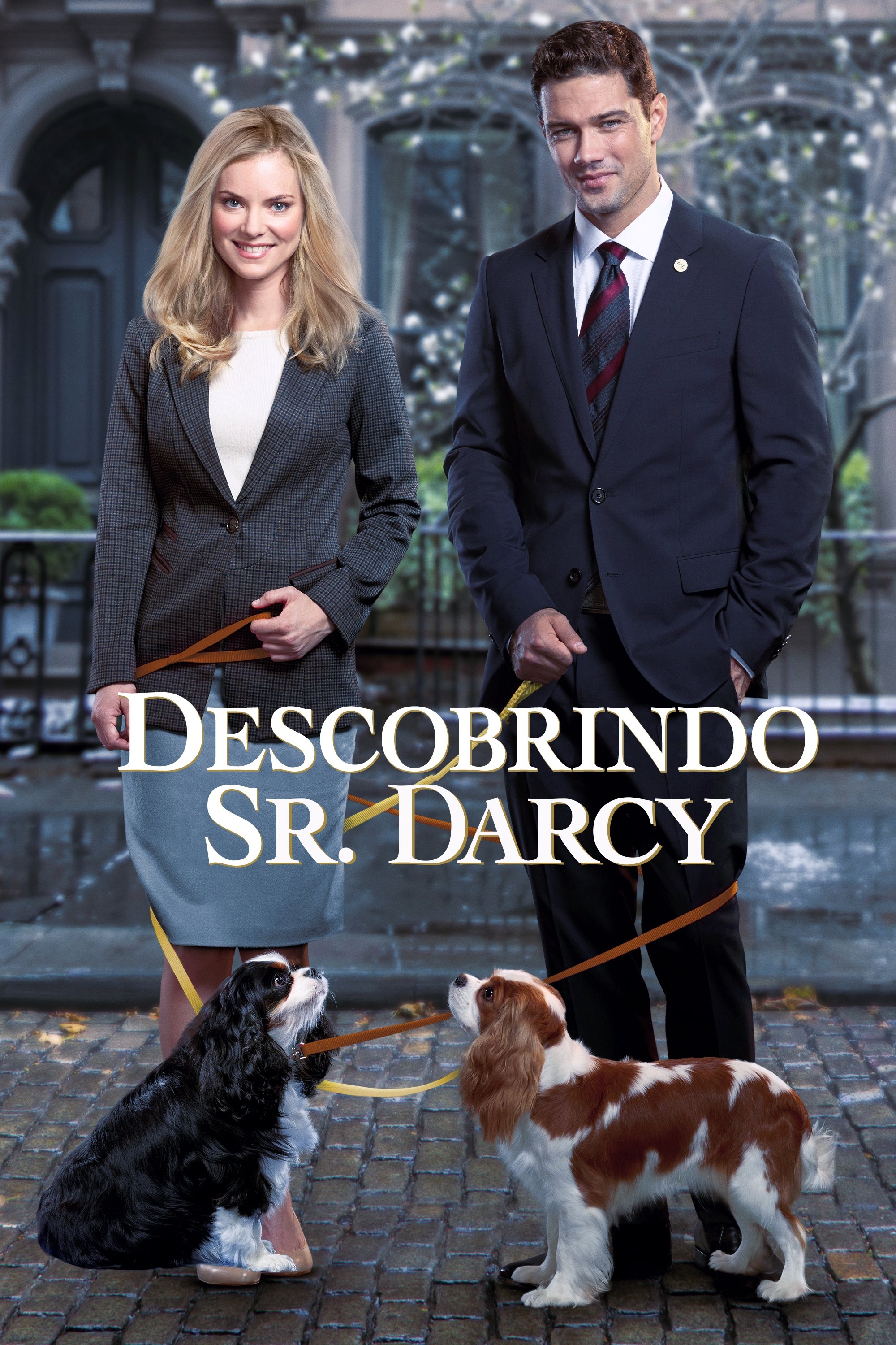 Poster de Descobrindo Sr. Darcy