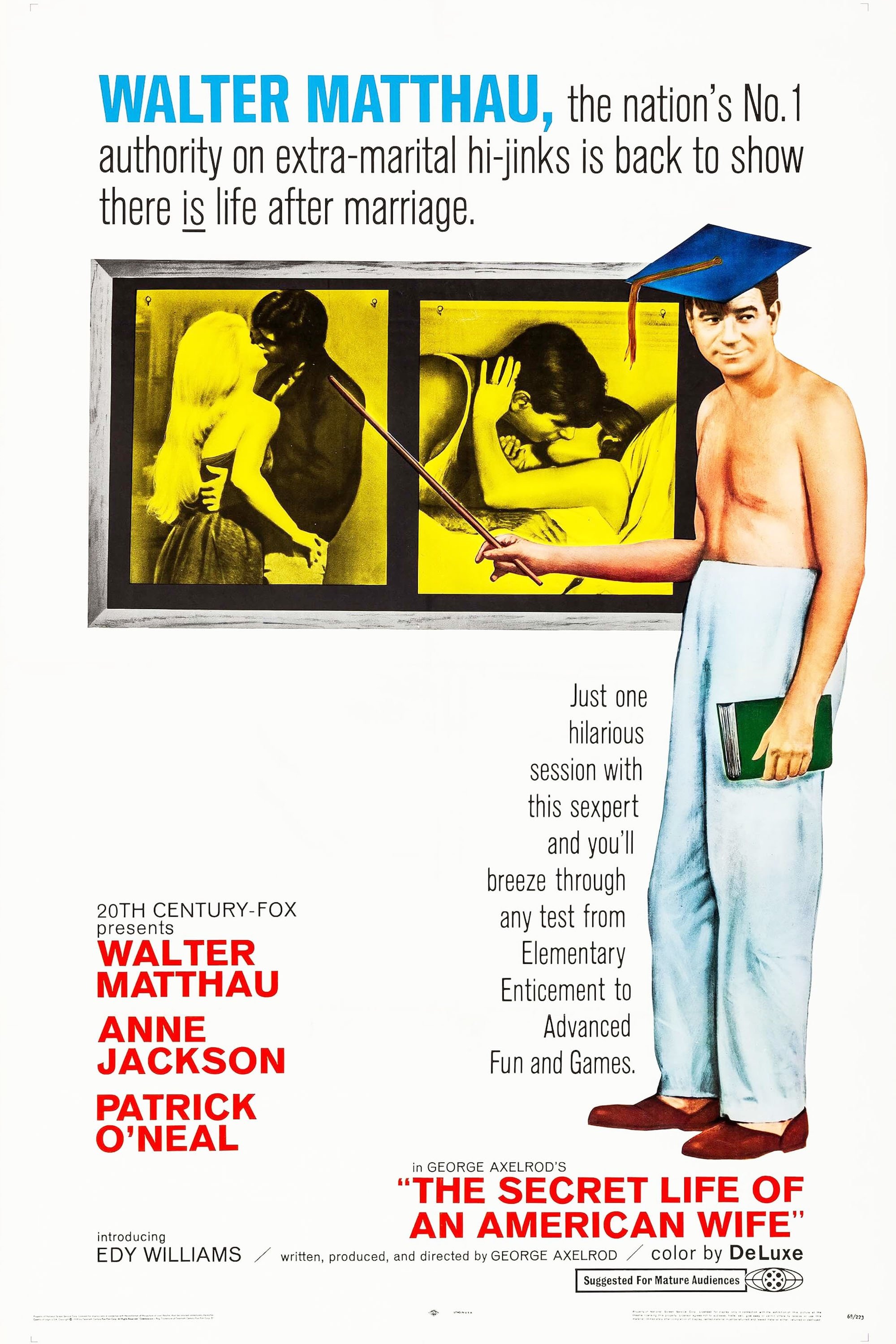 Poster de The Secret Life of an American Wife
