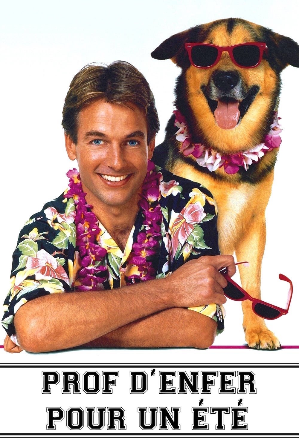 Affiche du film Prof d'enfer pour un été