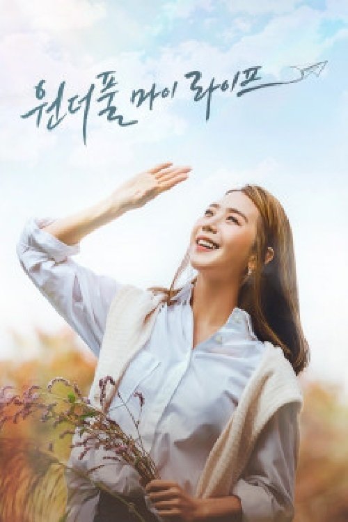 Poster de 원더풀 마이 라이프