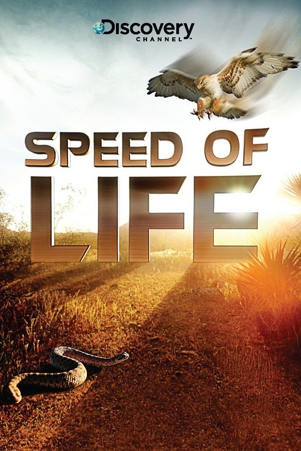 Poster de Speed of Life