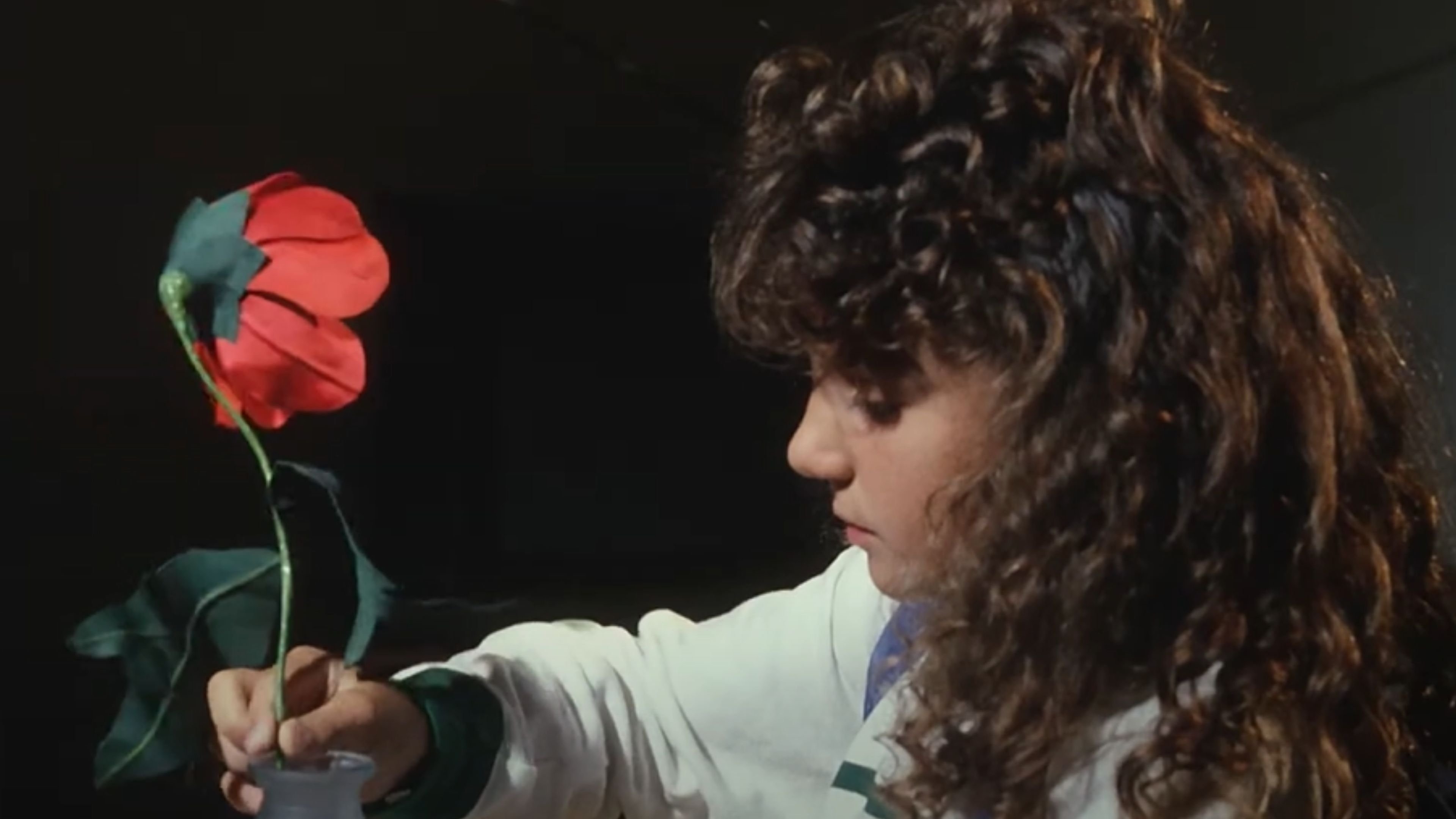 The Flower
