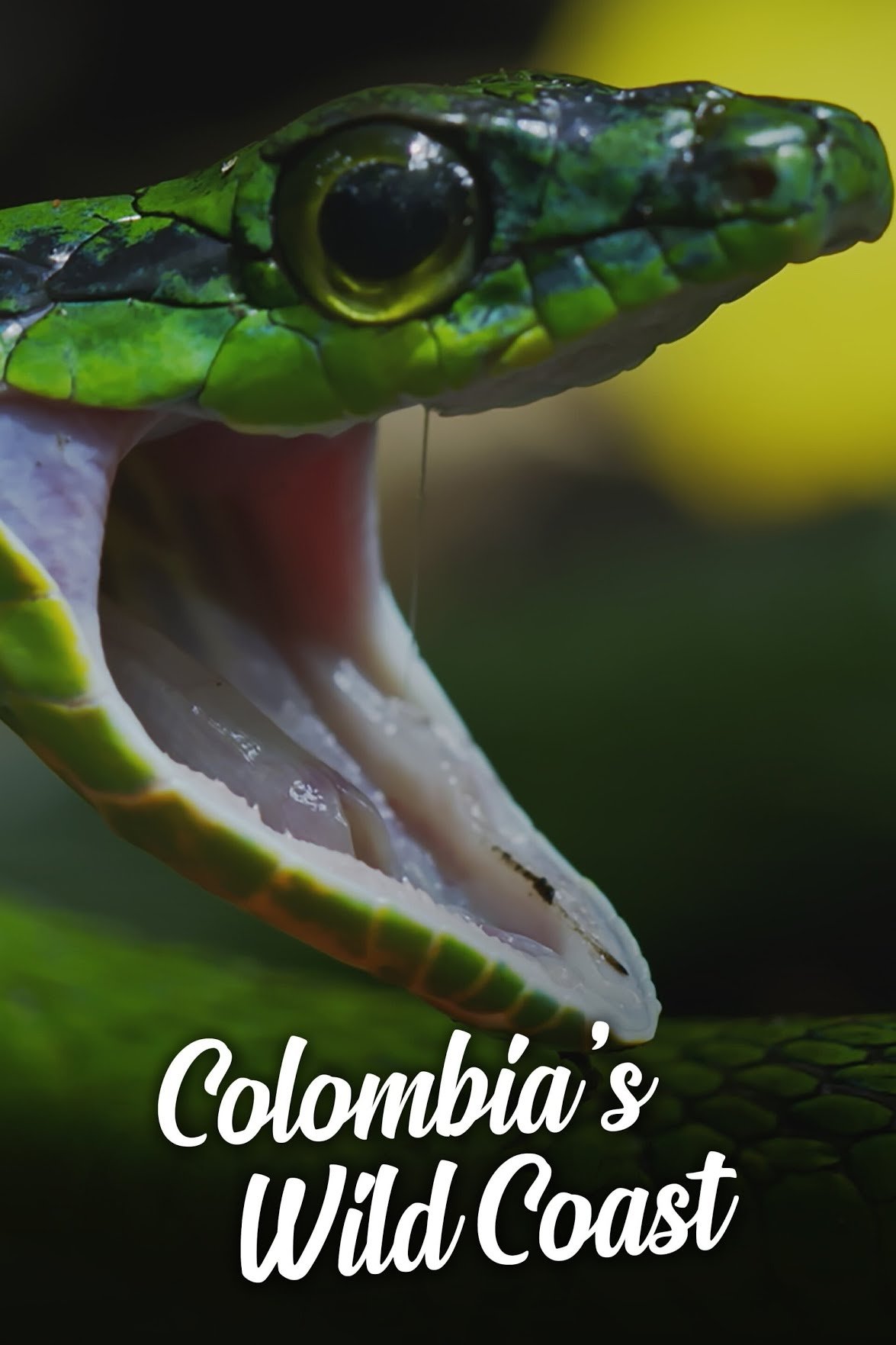 Poster de Colombia's Wild Coast