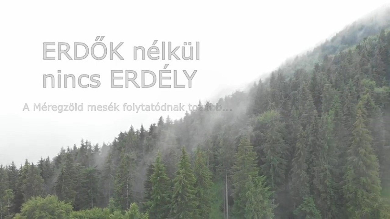 Erdők nélkül nincs Erdély