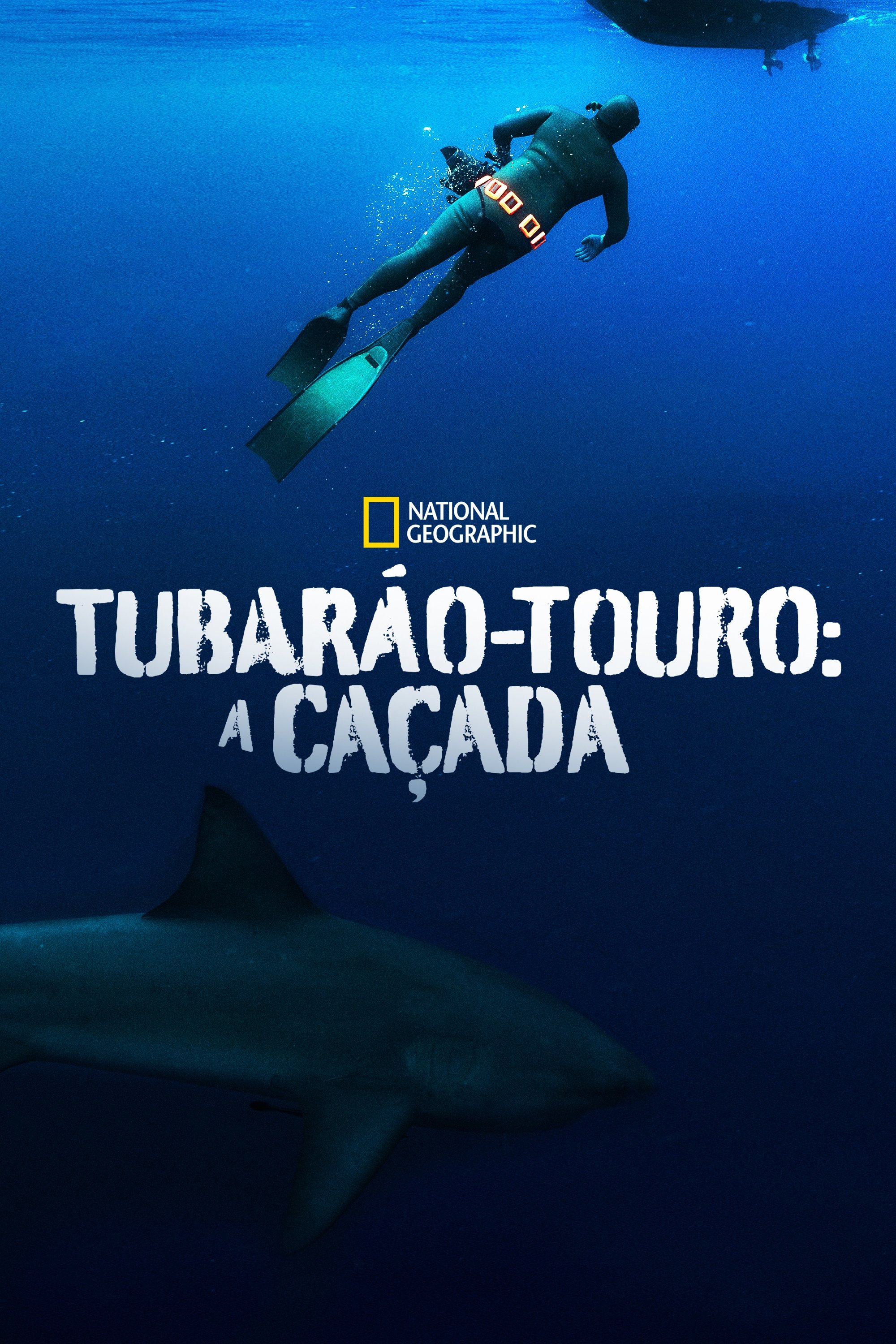 Poster de Tubarão-Touro: A Caçada