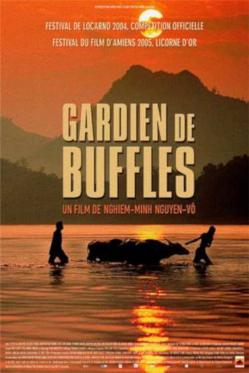 Gardien de buffles