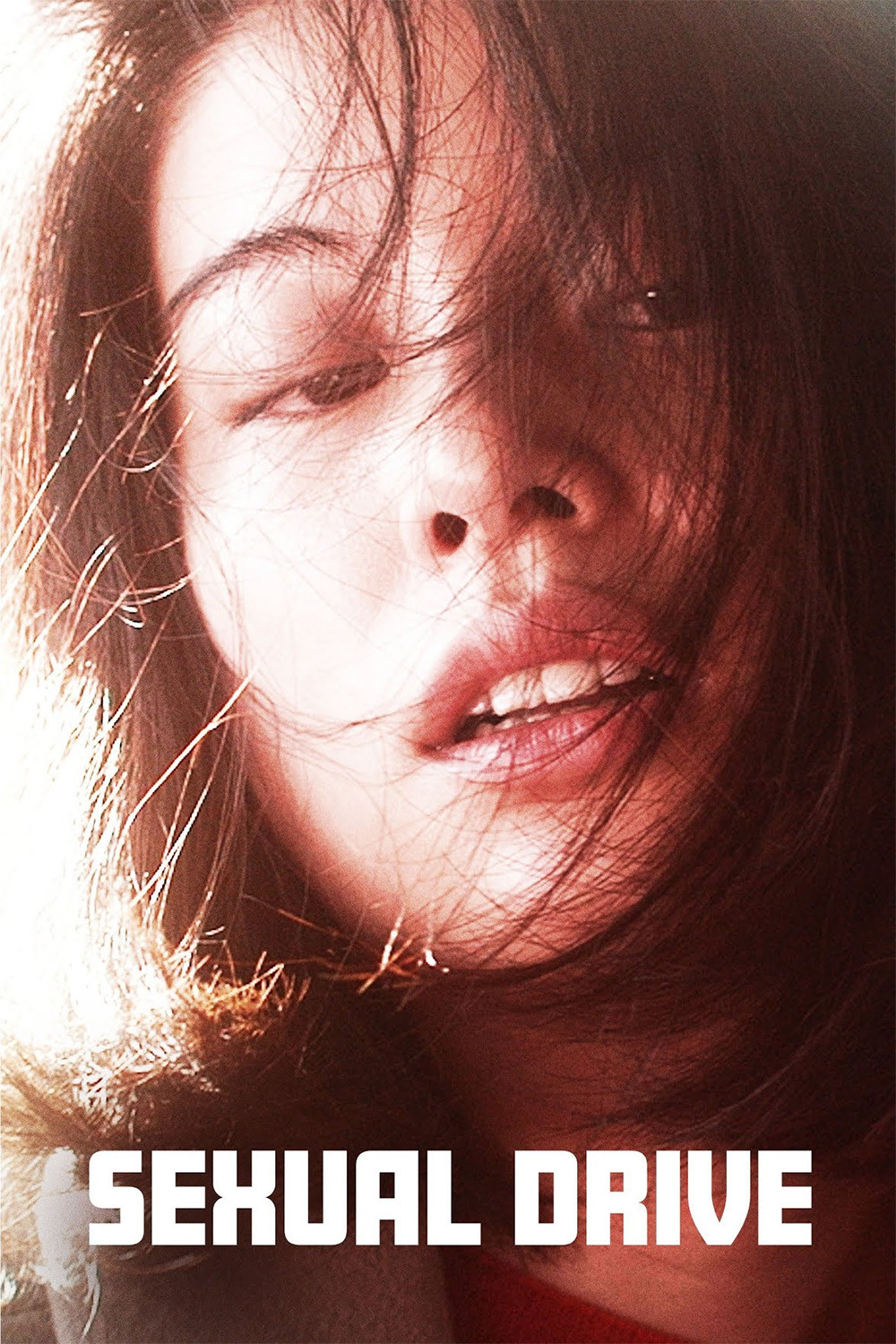 Poster de Sexual Drive