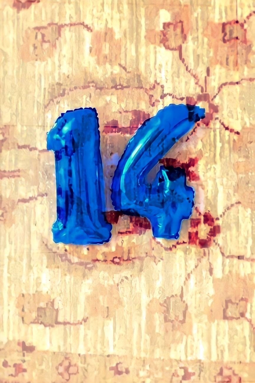 Poster de 14