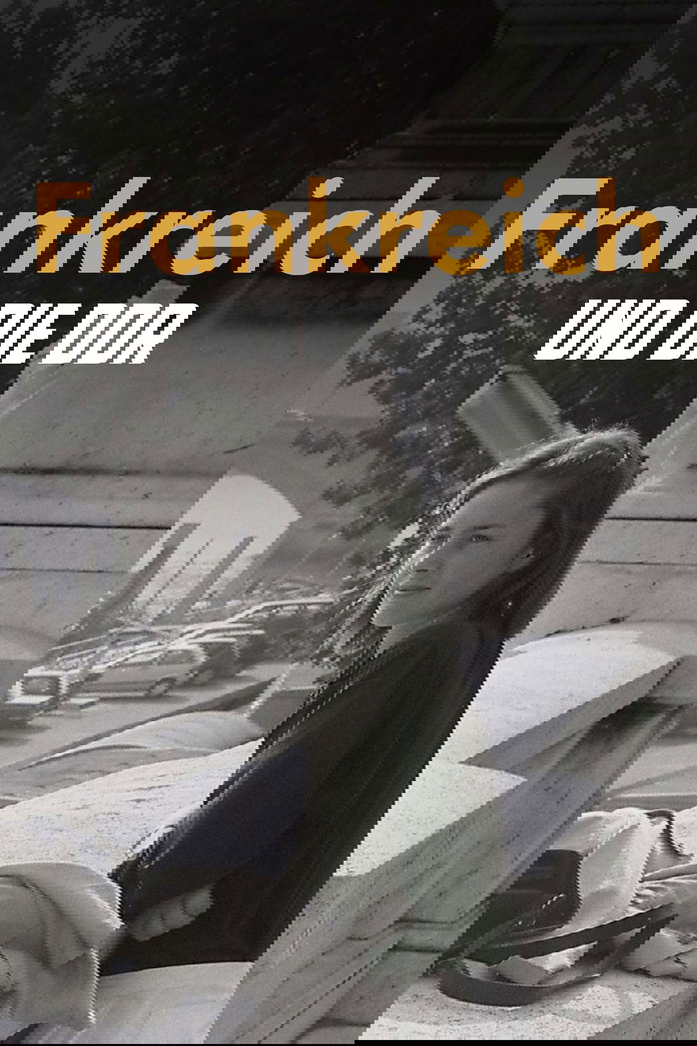 Poster de Amour fou im Kalten Krieg – Frankreich und die DDR