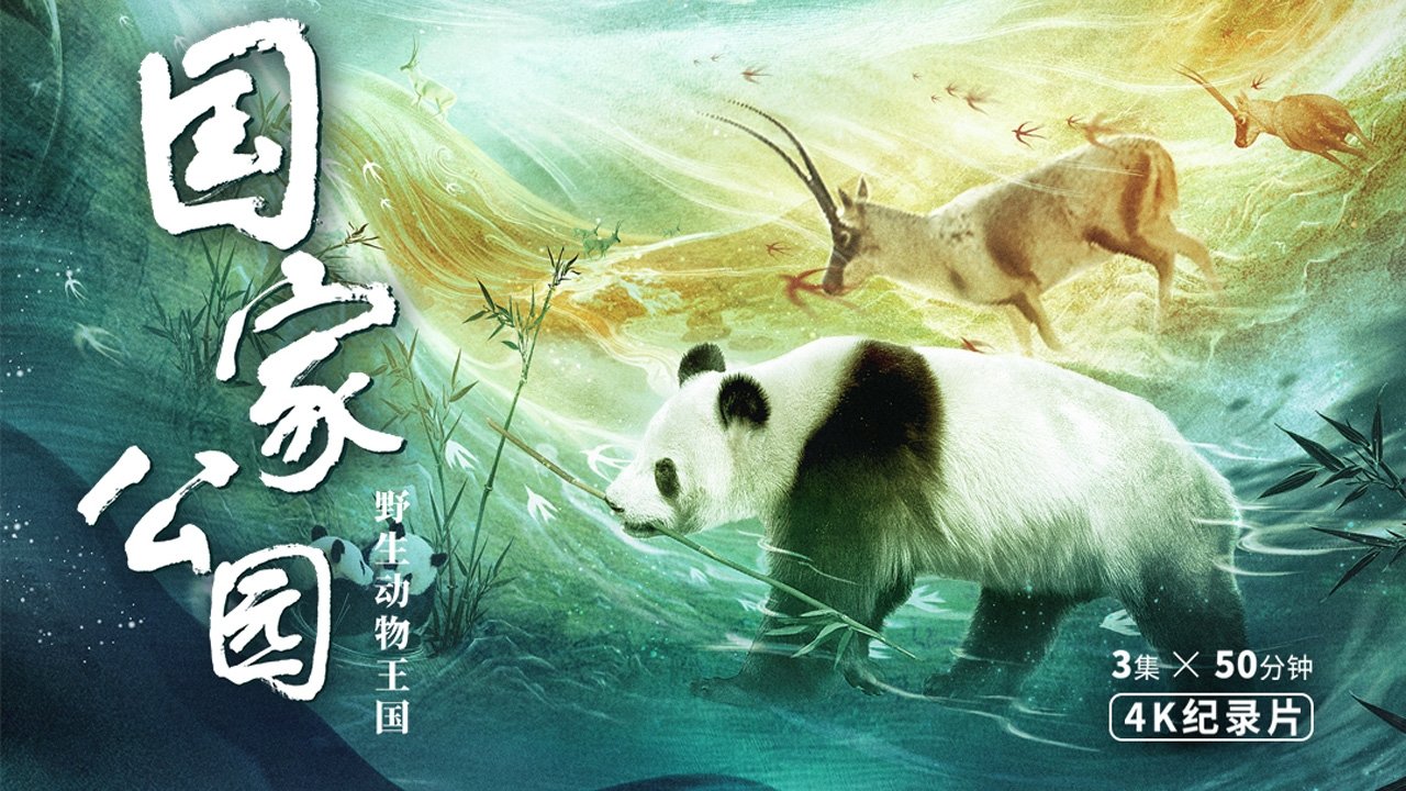 国家公园：野生动物王国
