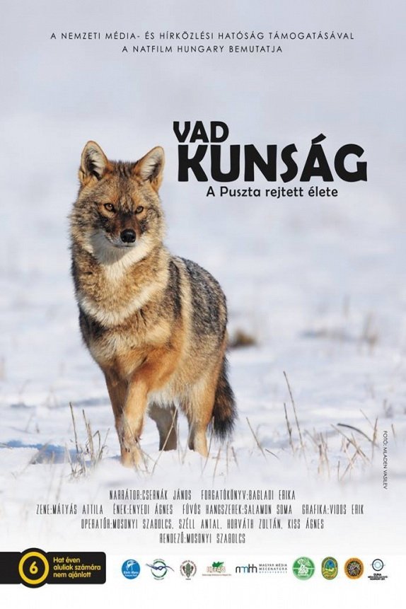 Poster de Vad Kunság – A Puszta rejtett élete