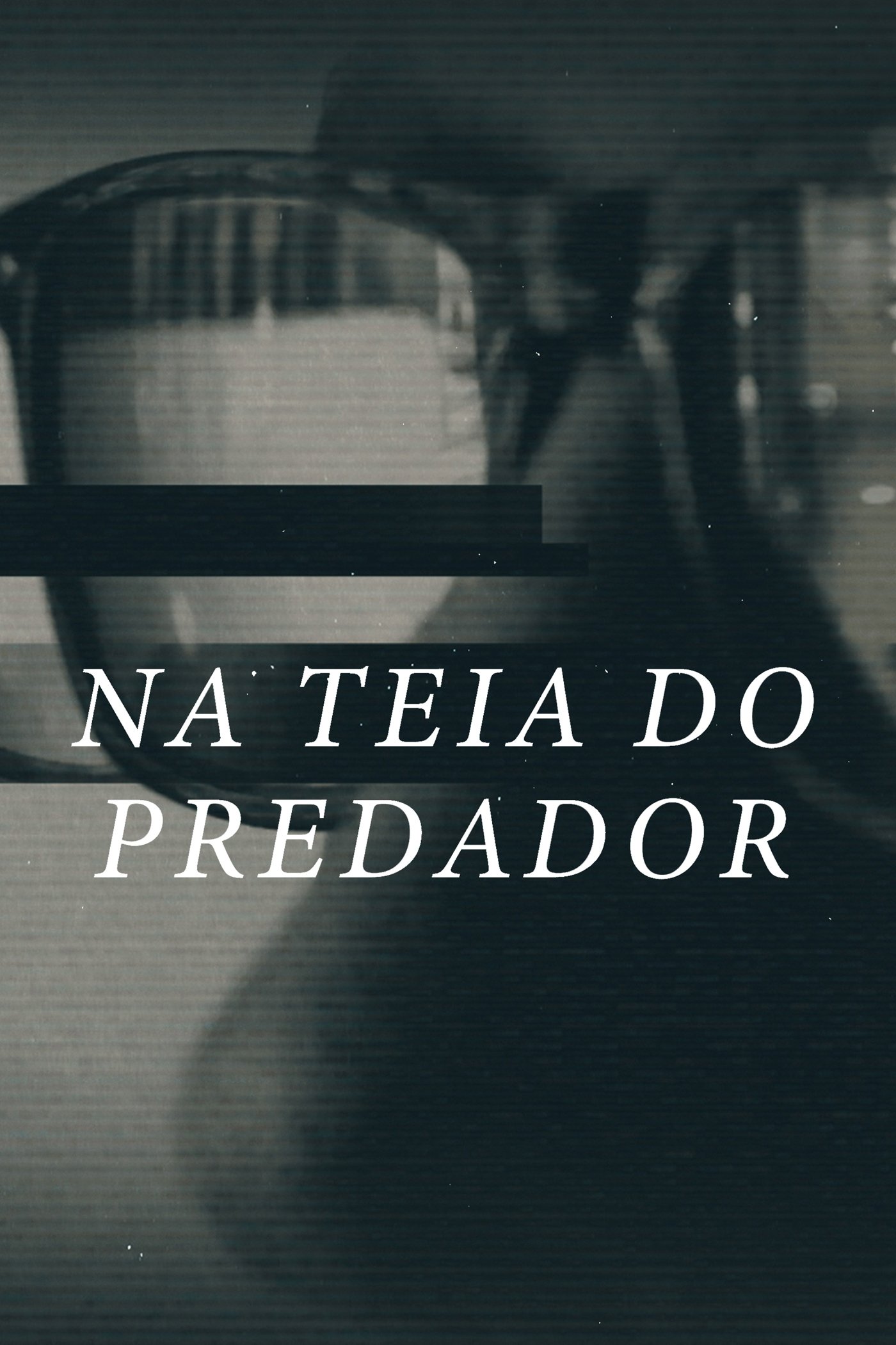 Poster de Na Teia do Predador