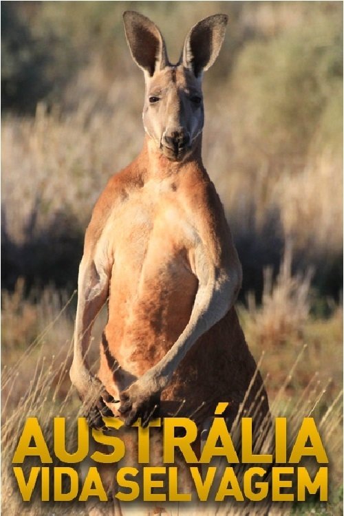 Poster de Austrália Vida Selvagem