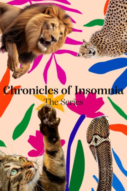 Poster de Chronicles of Insomnia