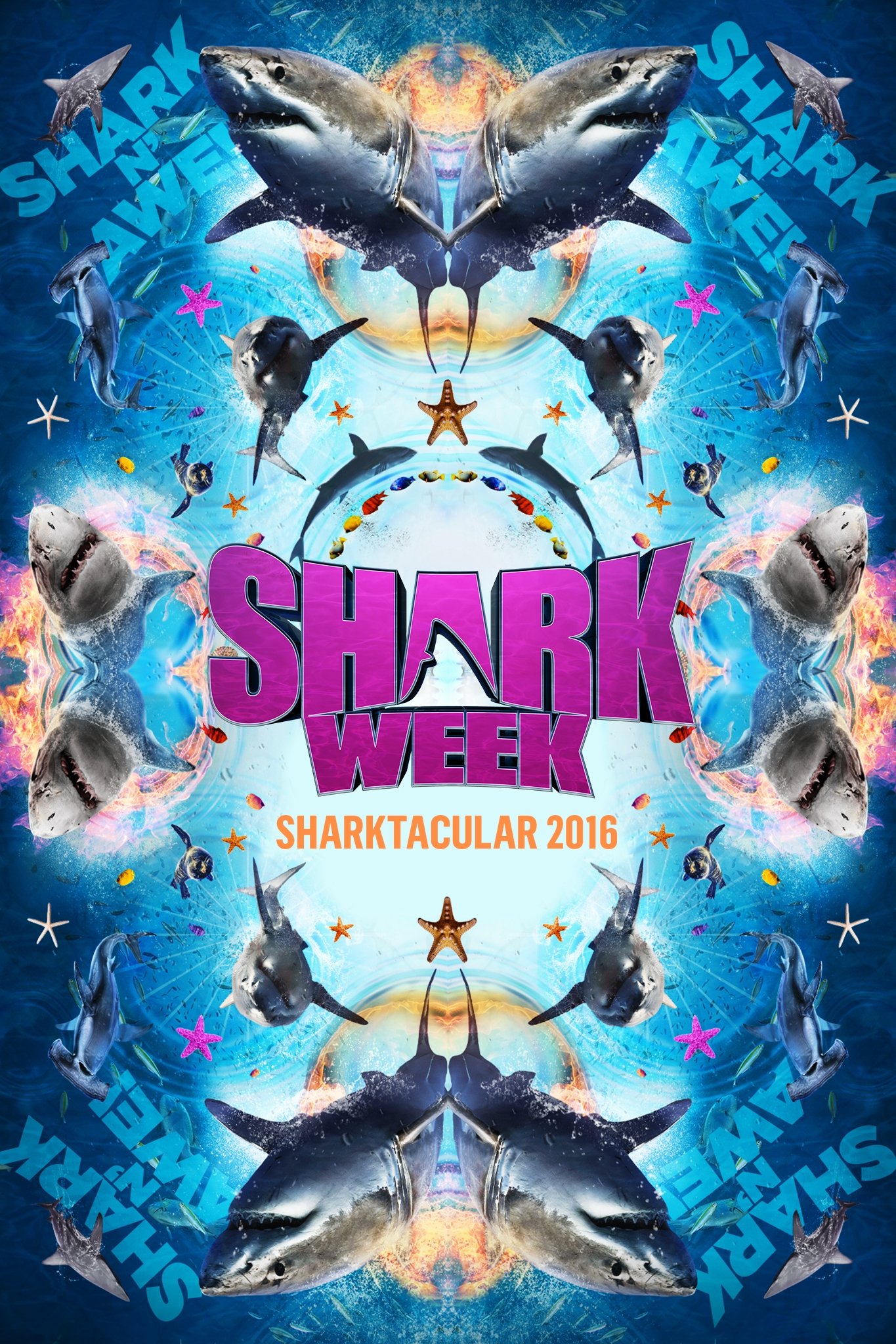 Poster de Temporada 29