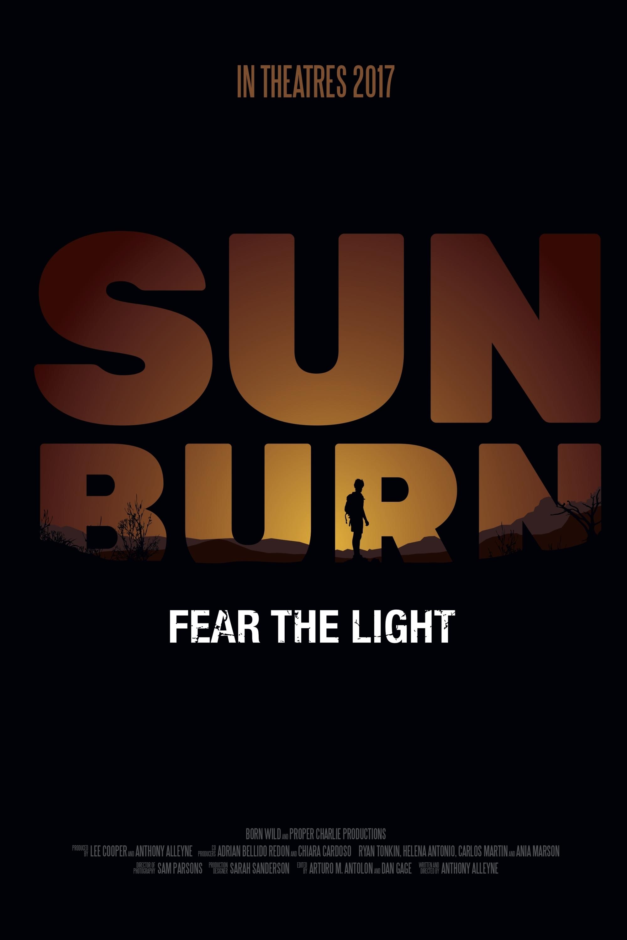 Poster de Sunburn