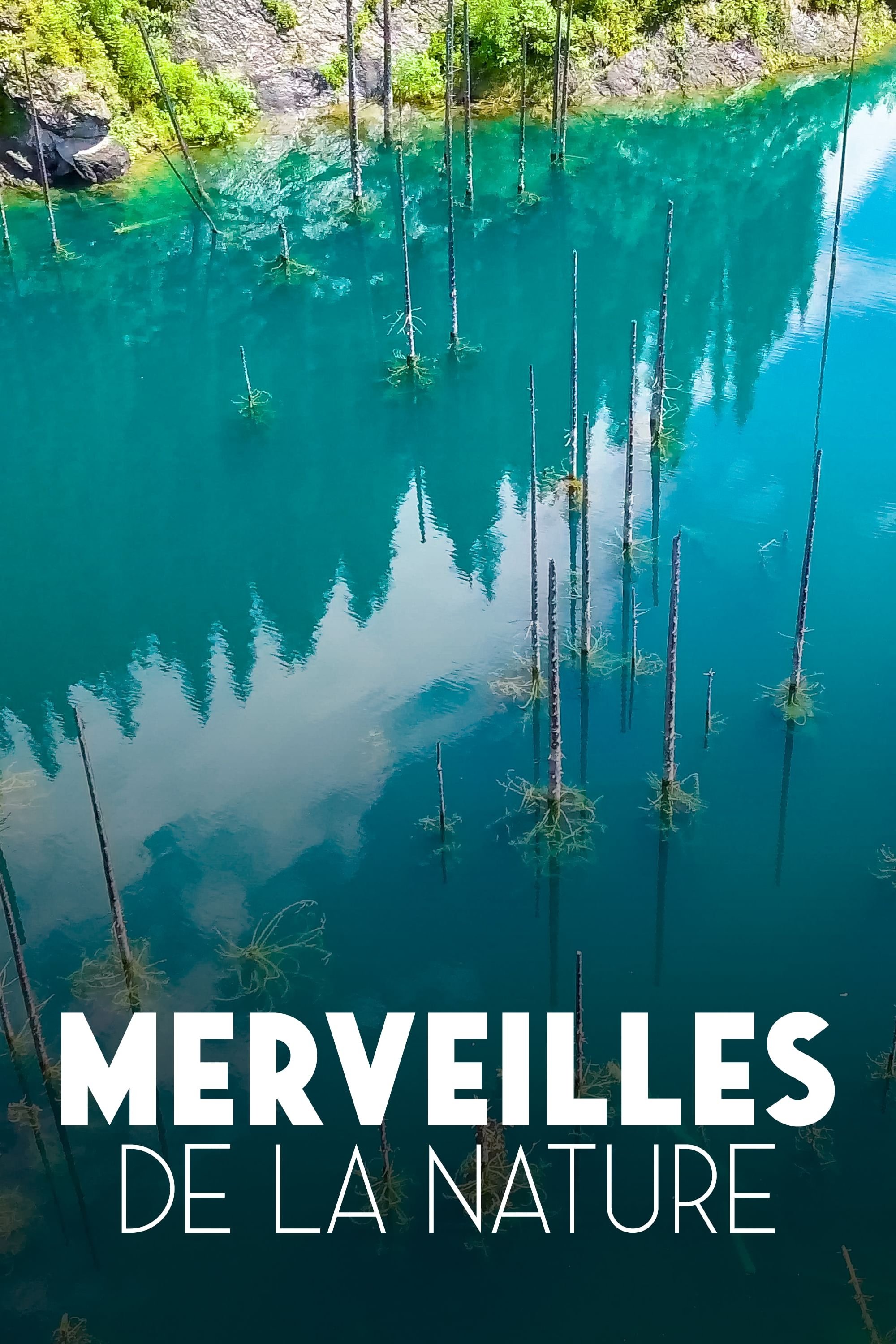Poster de Merveilles de la nature