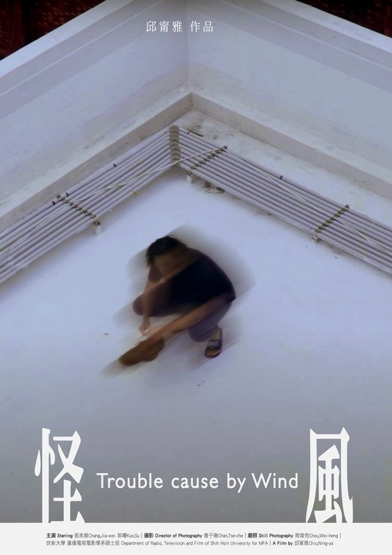 Poster de 怪風