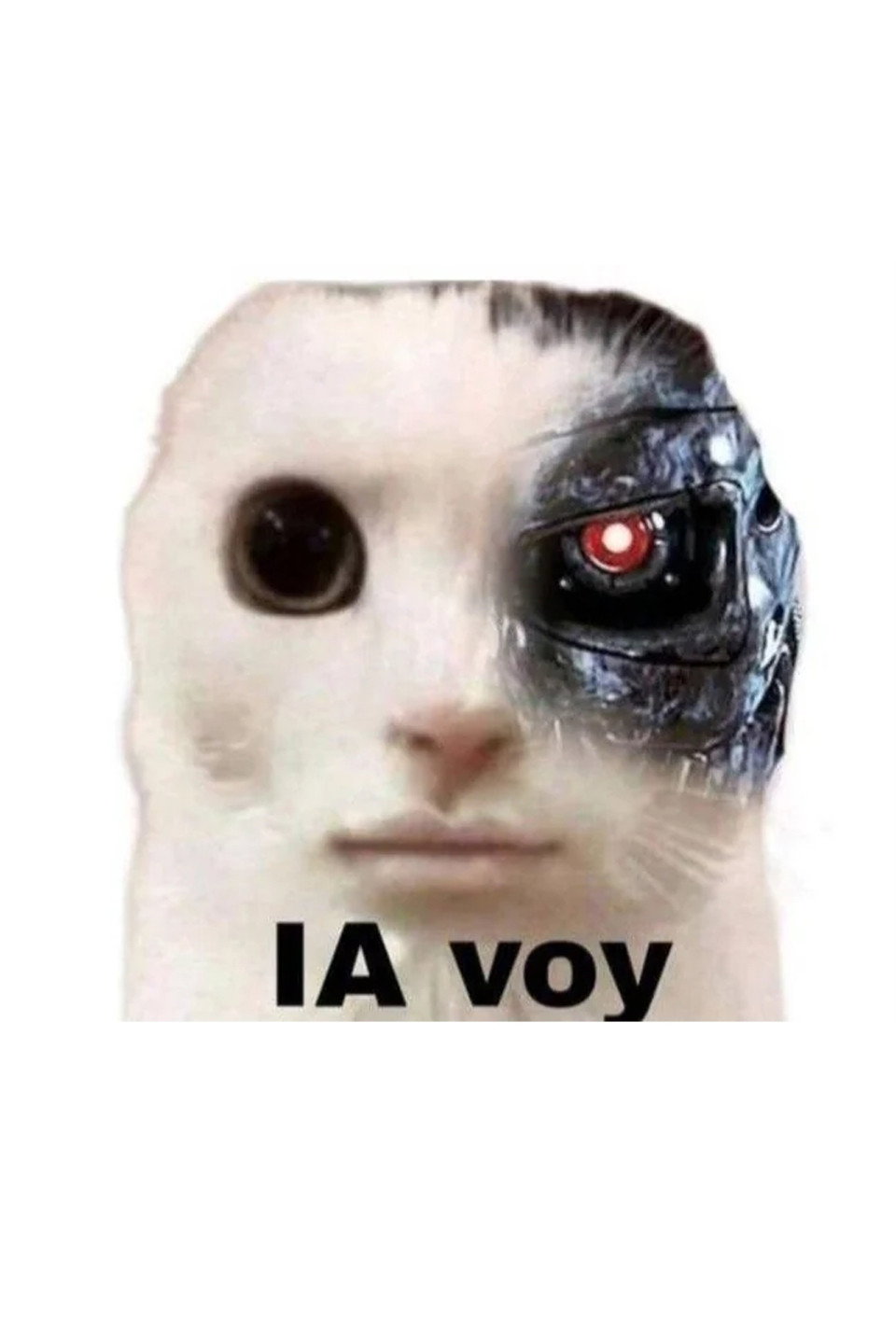 the profile picture of Chat GPT