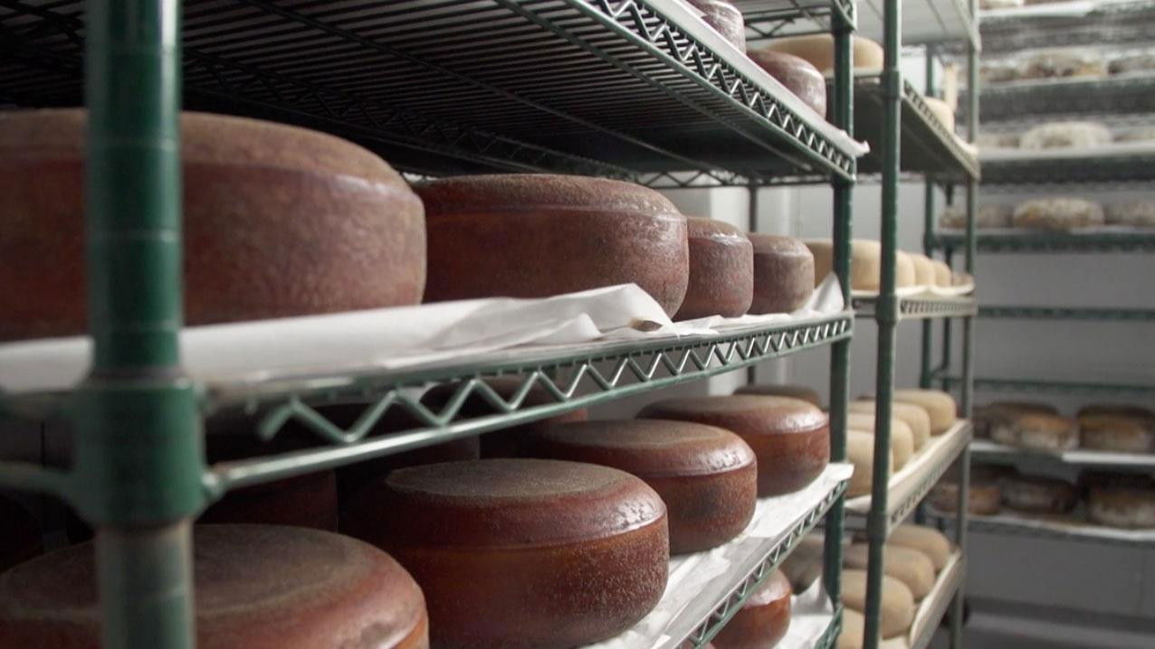 Cedar Grove Cheese | John Riepenhoff