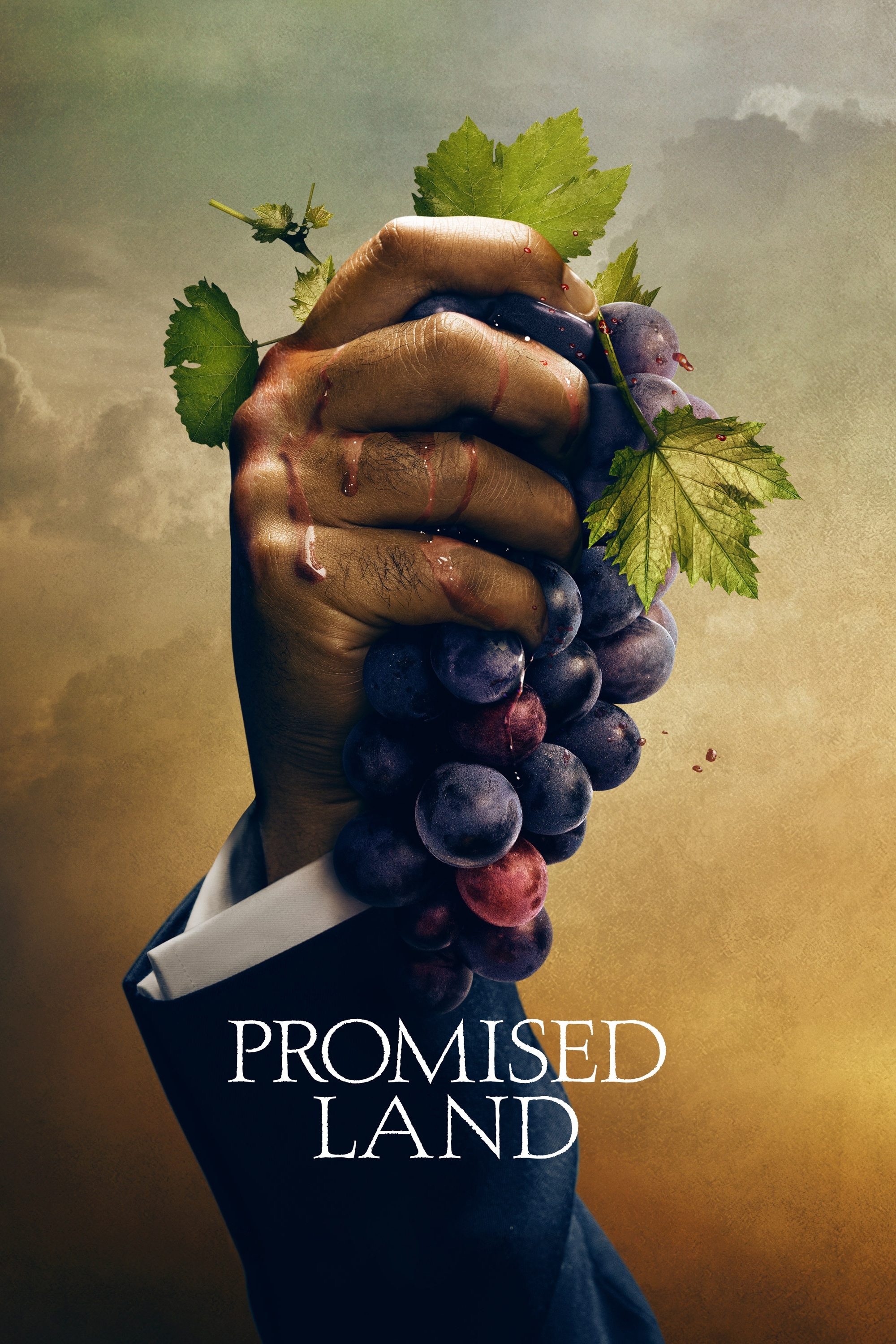 Poster de Promised Land