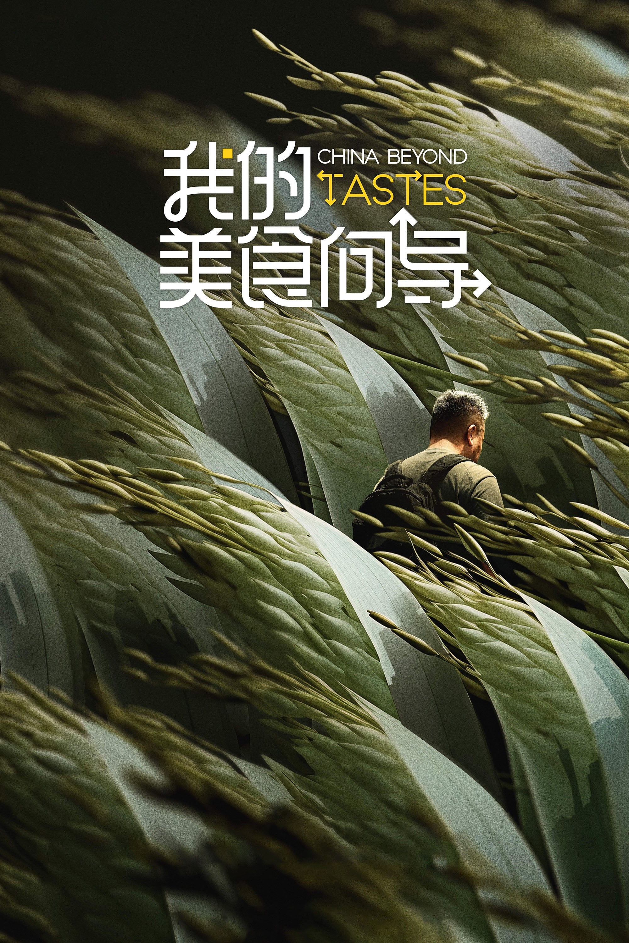 Poster de 我的美食向导