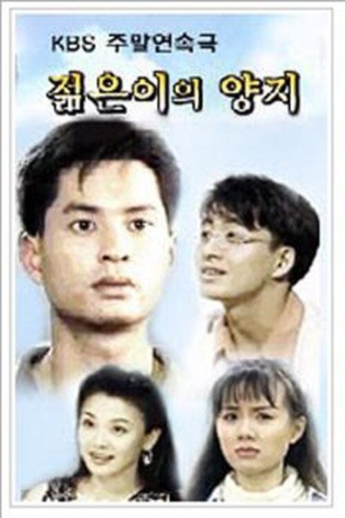 Poster de 젊은이의 양지