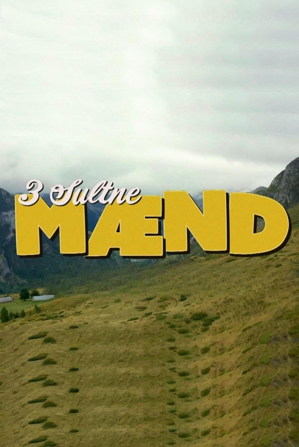 Poster de Tre sultne mænd