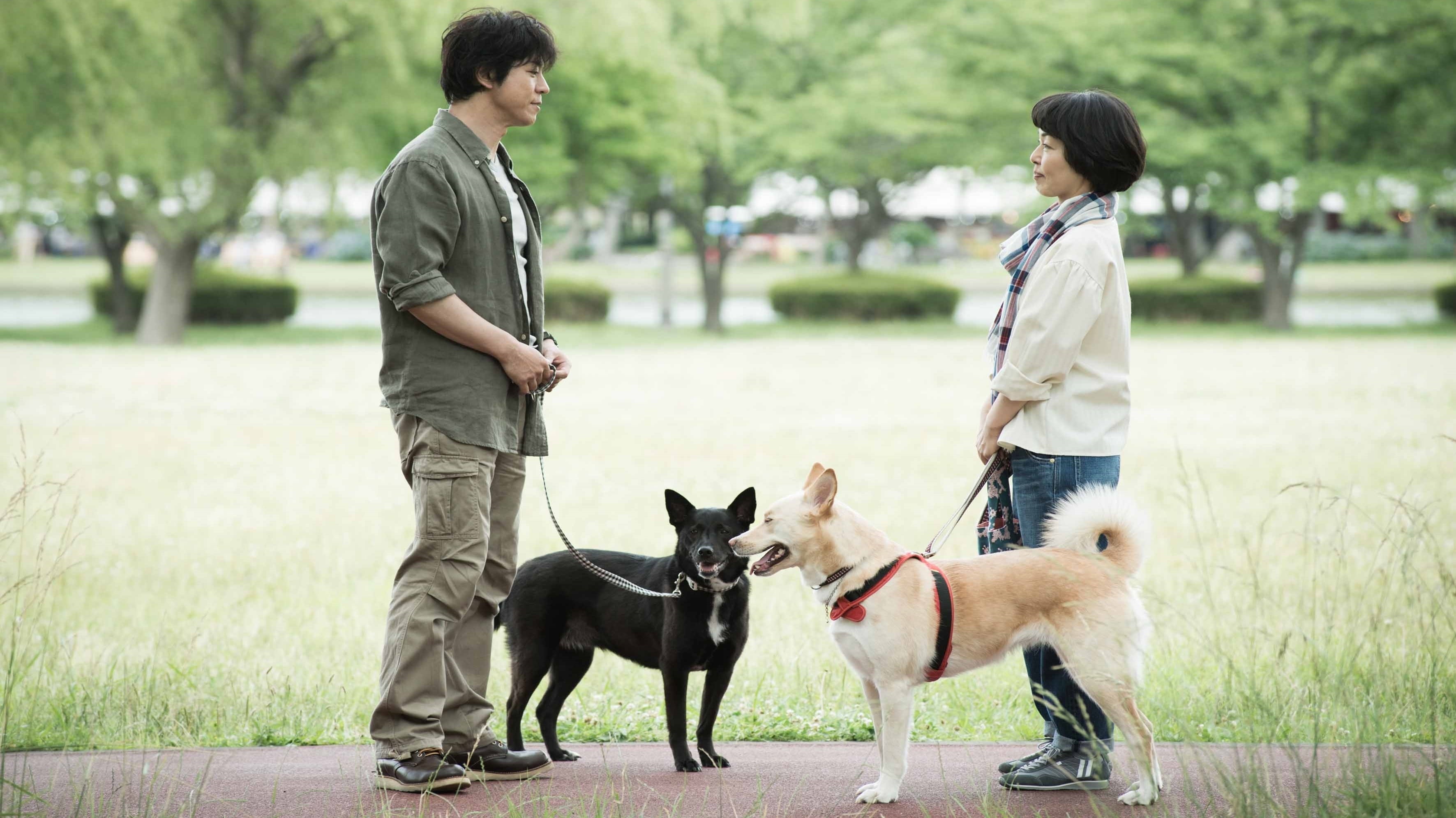 Dogs Without Names 2015 123movies