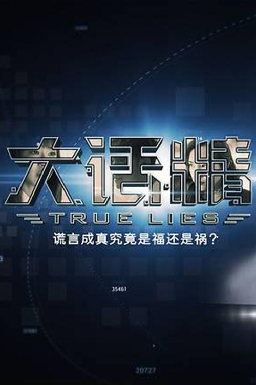 Poster de 大话精