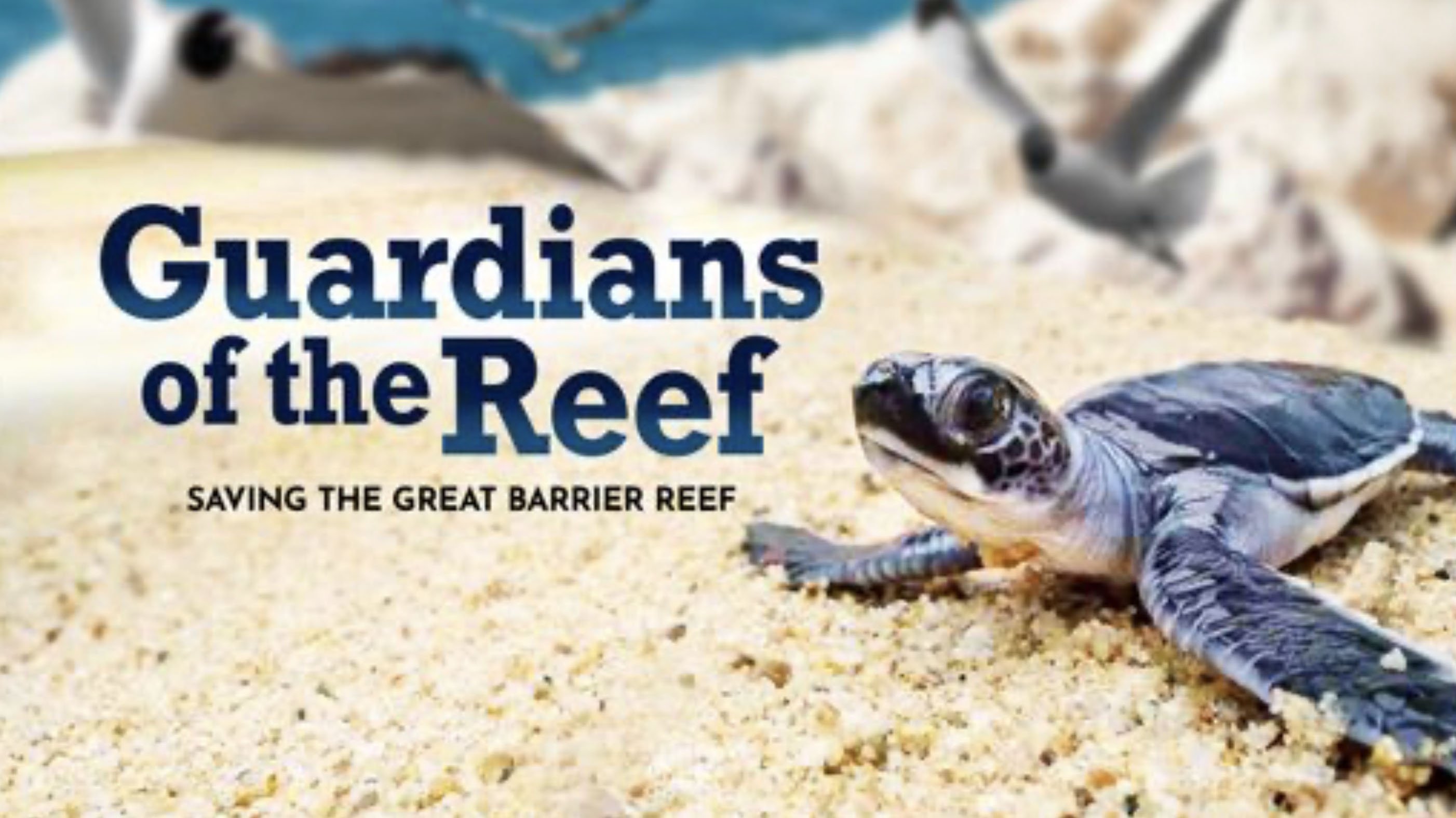 Guardians of the Reef: Saving the Great Barrier Reef