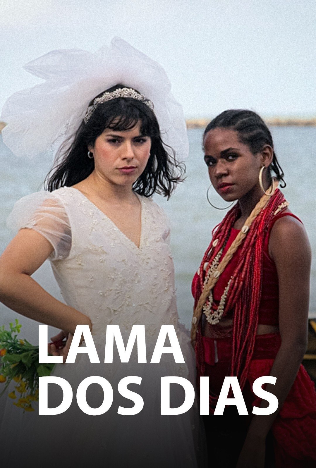 Poster de Lama dos Dias
