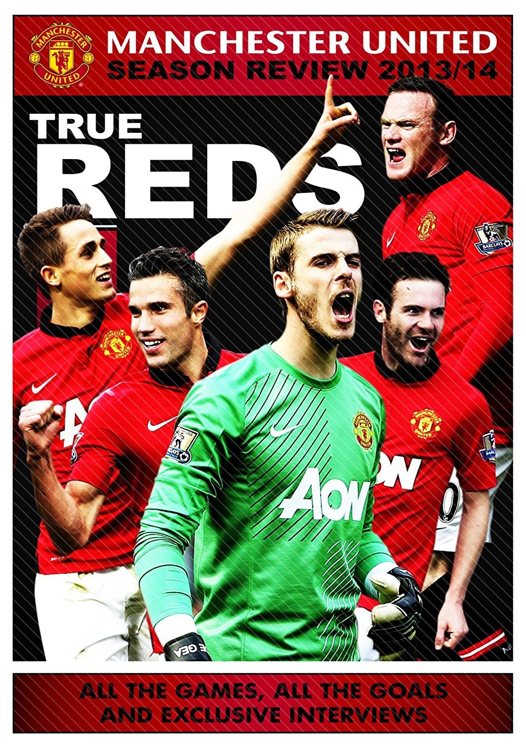 Poster de Manchester United Season Review 2013-2014
