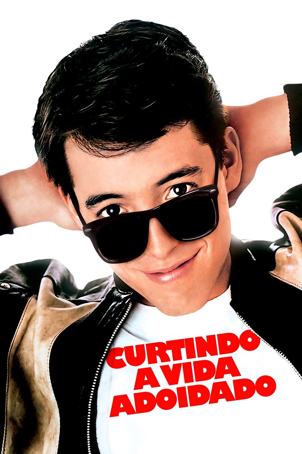 Poster de Curtindo a Vida Adoidado