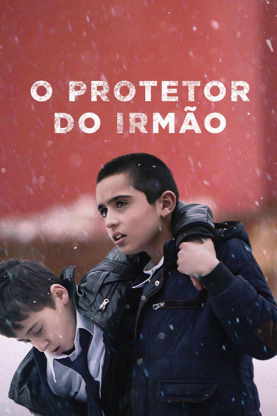 Poster de O Protetor do Irmão