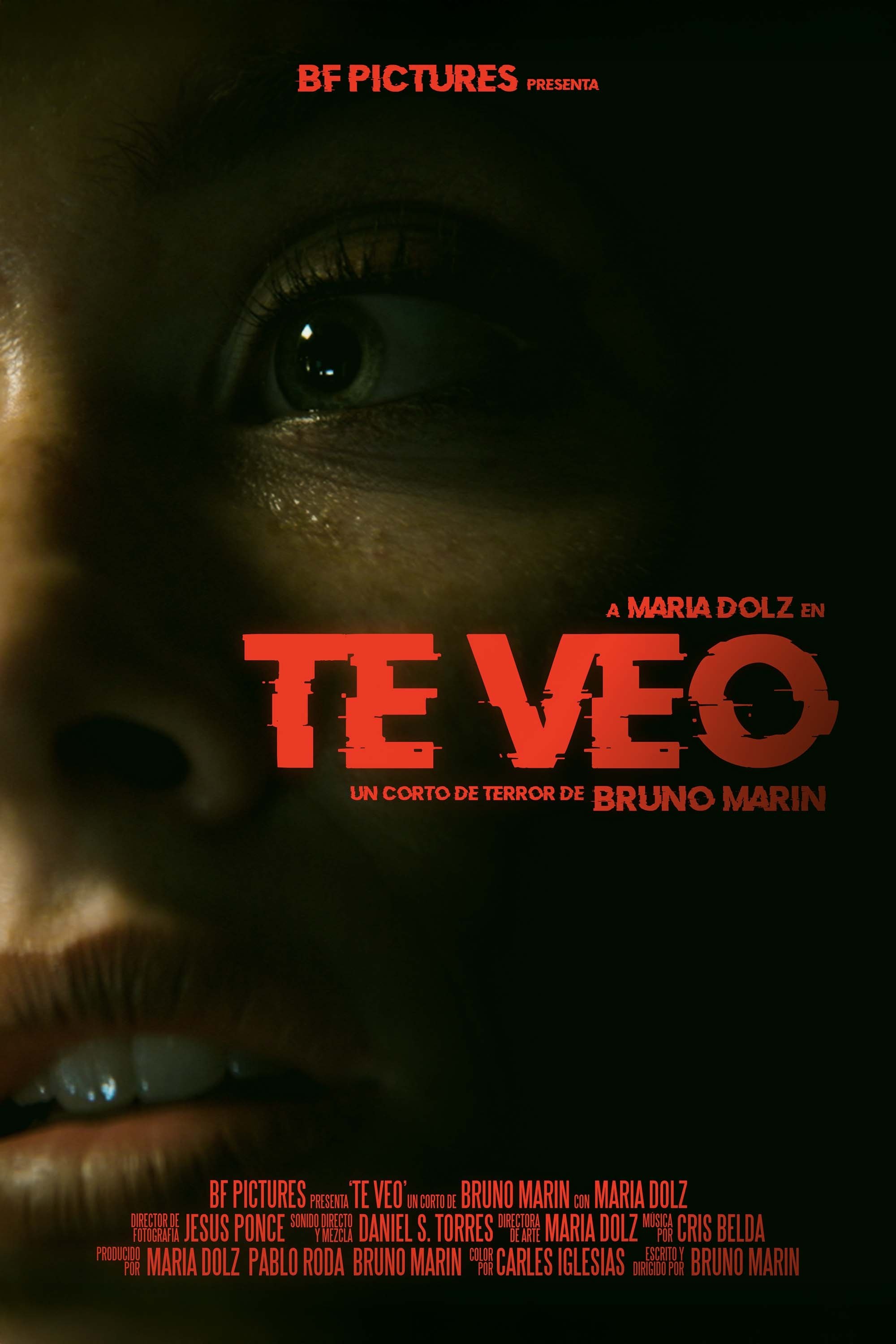 Poster de Te Veo