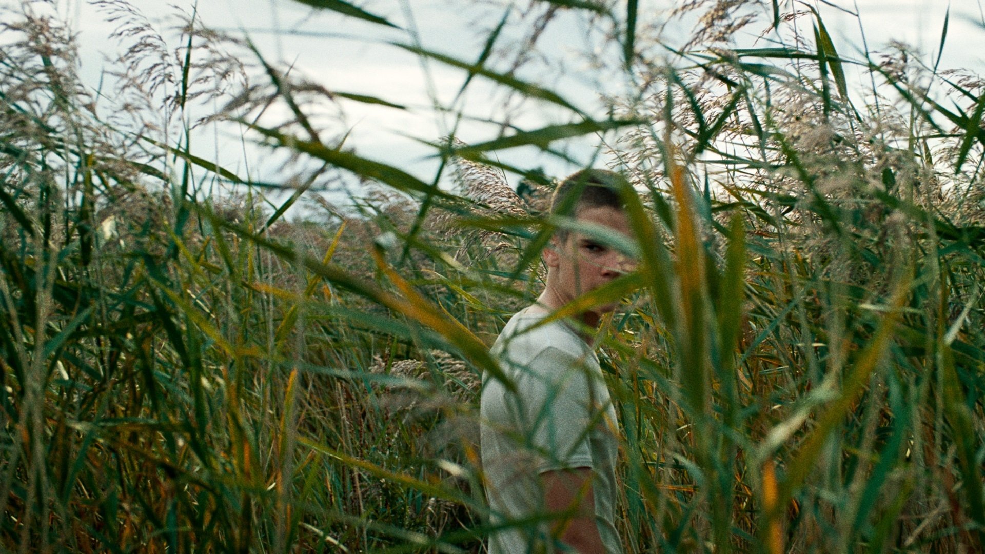 backdrops