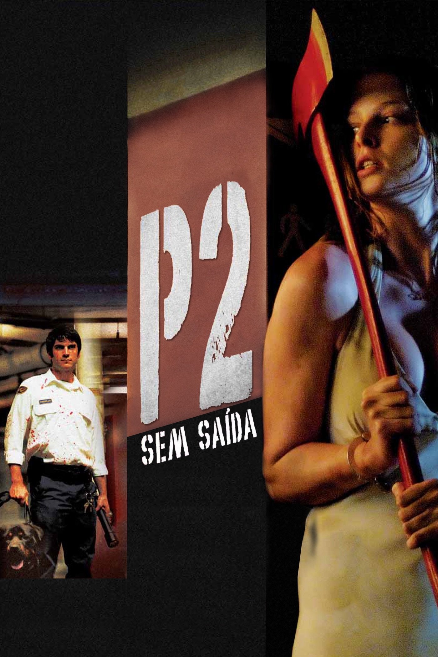 Poster de P2 - Sem Saída