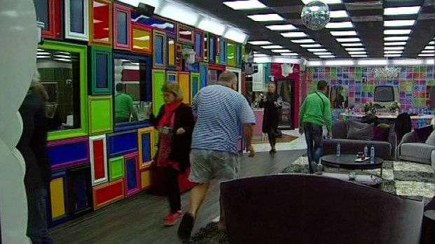 VIP Brother 2016 - Daily